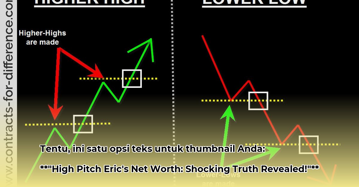 high-pitch-eric-net-worth